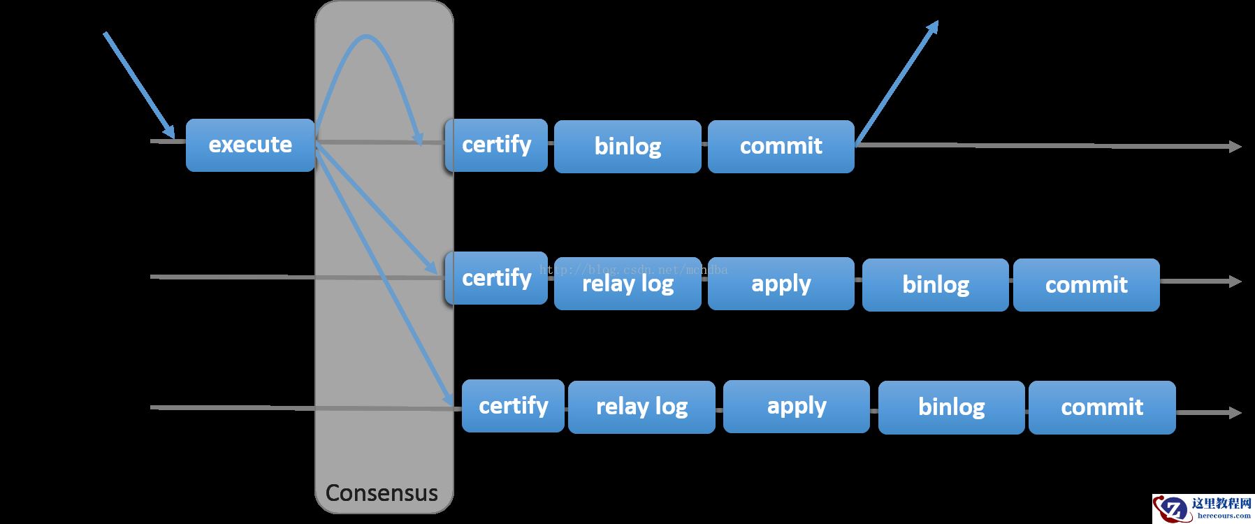 详细介绍MySQL Group Replication[Multi-Primary Mode]的搭建部署过程（图文）