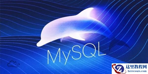 有关全文本搜索的课程推荐8篇