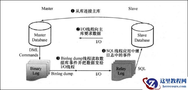 尝试搭建MySQL master-slave主从复制的环境