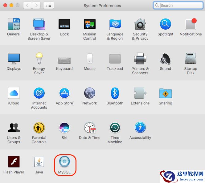 MySQL安装之编码设置的图文详解