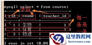 mysql中库和表的简单操作总结（附示例）