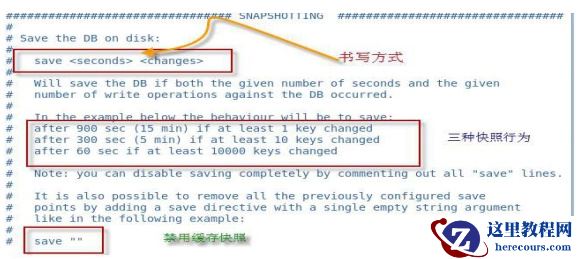 Redis的持久化和主从复制机制介绍