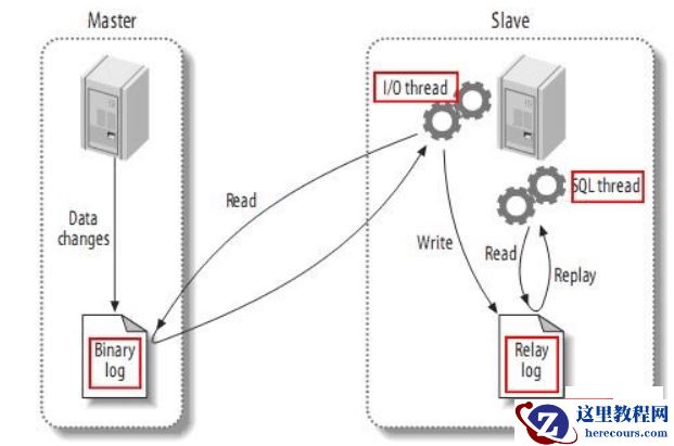 mysql集群和主从的区别
