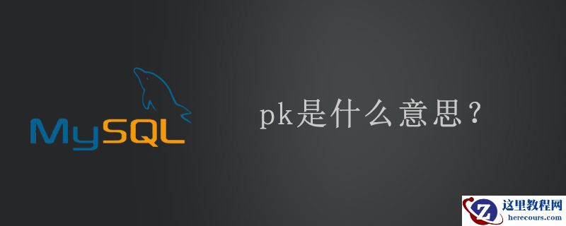 pk主键是什么意思？