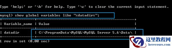 mysql文档存放在哪
