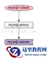 mysql proxy的意思是什么