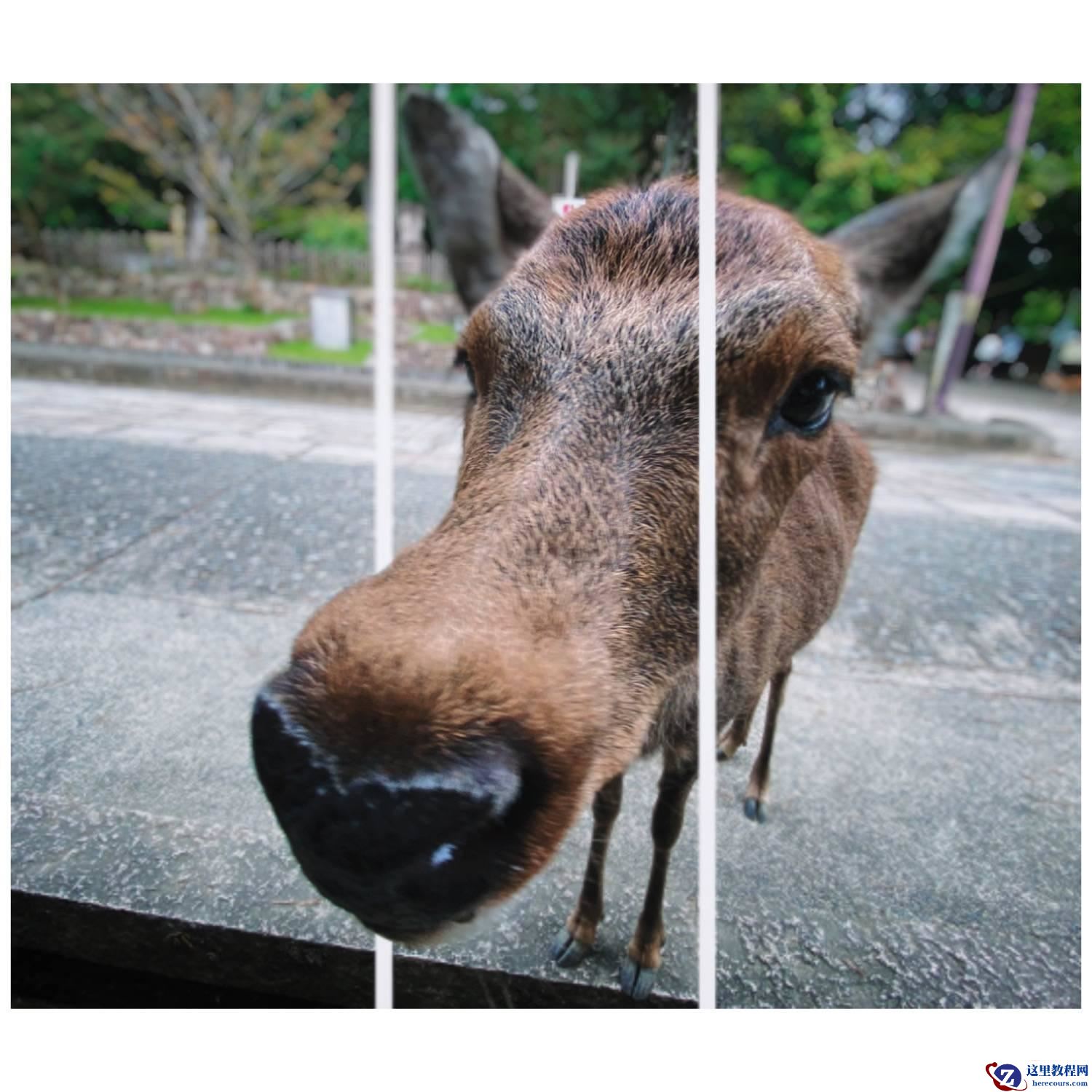 参考指南：MySQL & MariaDB Online DDL