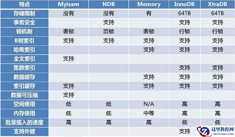 PHP中数据表的选项是什么？什么是储存引擎？
