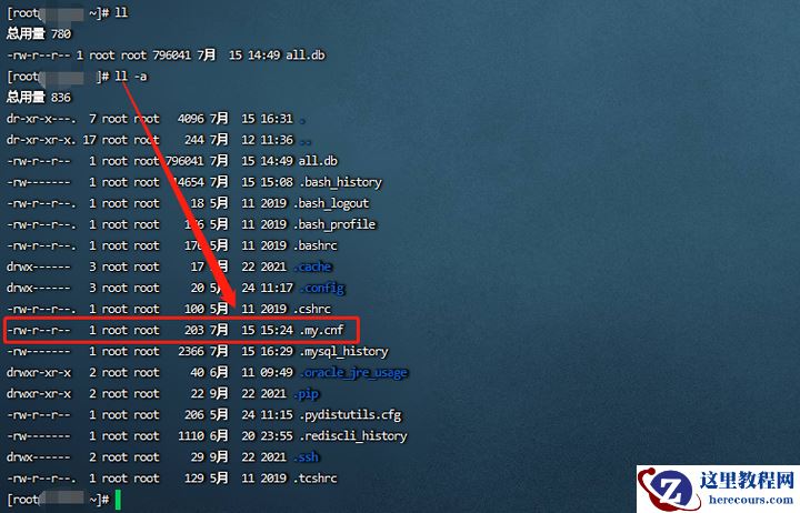 mysql的运行文件是什么
