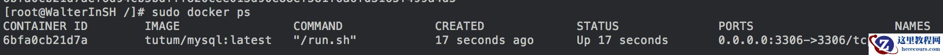 如何使用Docker部署MySQL