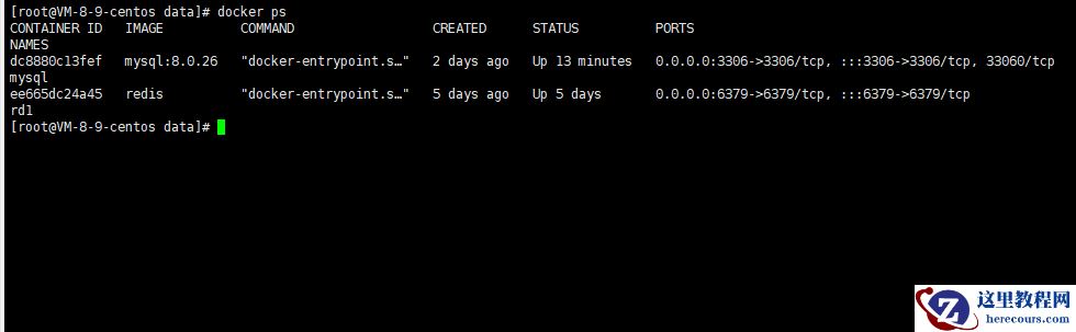 docker mysql容器怎么开启慢查询日志