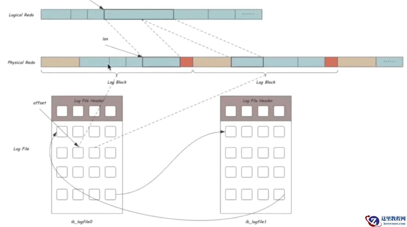 MySQL Redo与Undo日志是什么