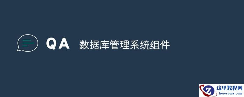 数据库管理系统组件