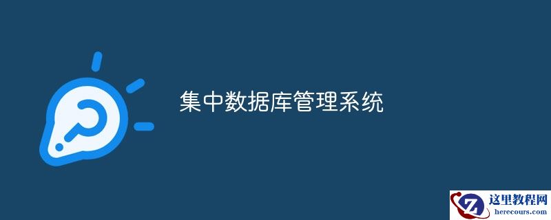 集中数据库管理系统