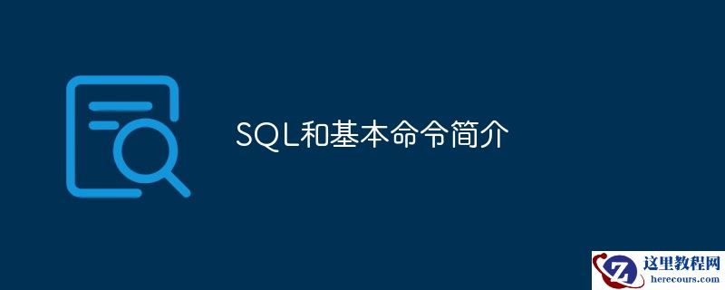 SQL和基本命令简介