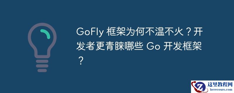 GoFly 框架为何不温不火？开发者更青睐哪些 Go 开发框架？