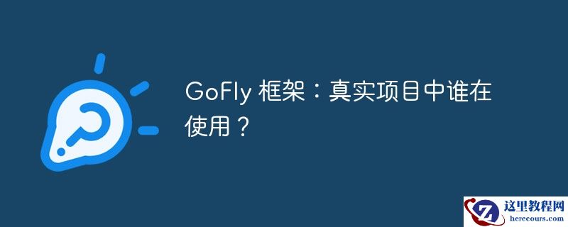 GoFly 框架：真实项目中谁在使用？
