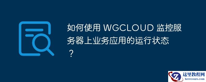 如何使用 WGCLOUD 监控服务器上业务应用的运行状态？