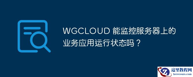 WGCLOUD 能监控服务器上的业务应用运行状态吗？