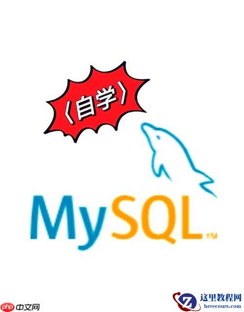 MySQL怎样导出数据到文件 CSV/Excel格式导出全攻略