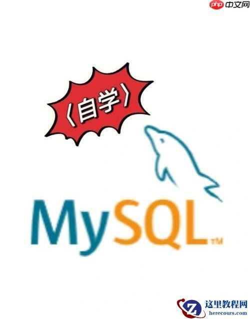 MySQL视图如何高效创建？MySQL数据管理的25个实用技巧