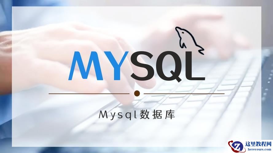 MySQL中常用的子查询类型有哪些 MySQL子查询优化与实战全攻略