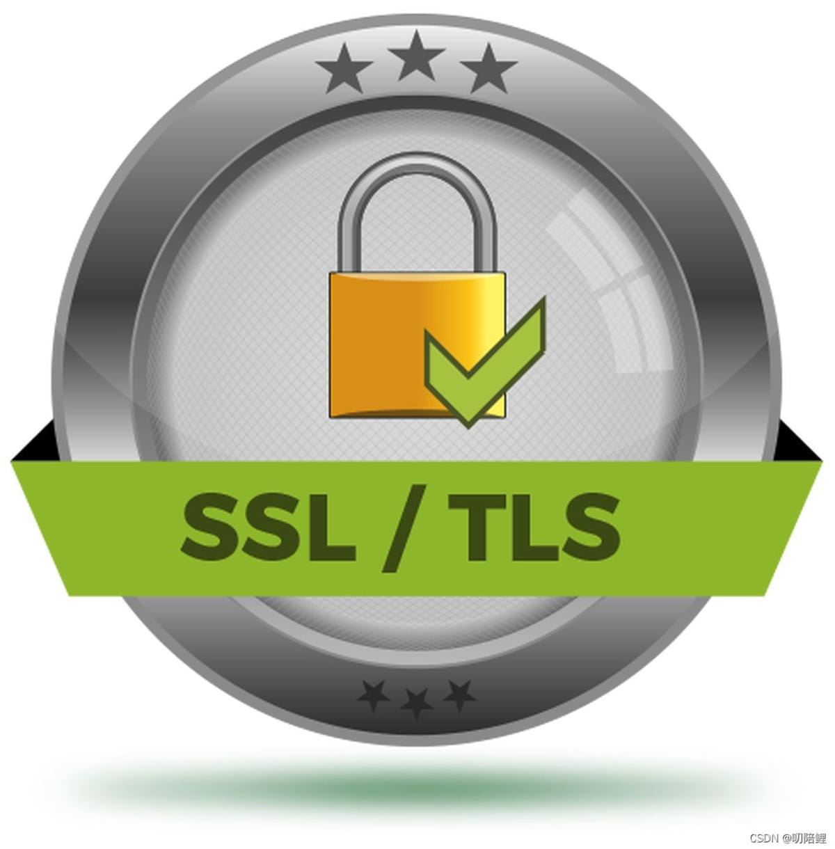 Golang中TLS版本设置的实现步骤