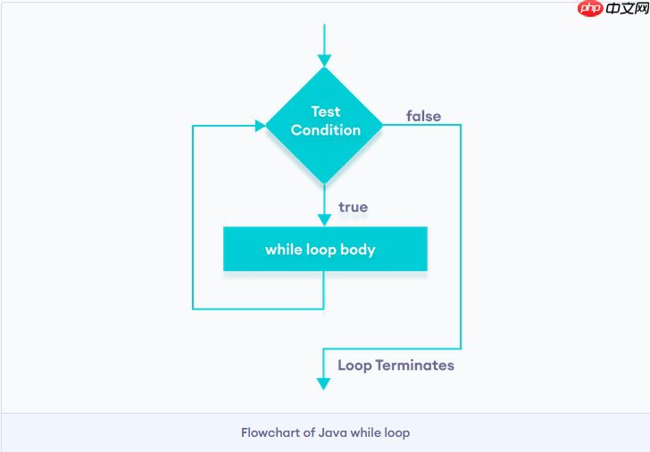 Java While 循环语句