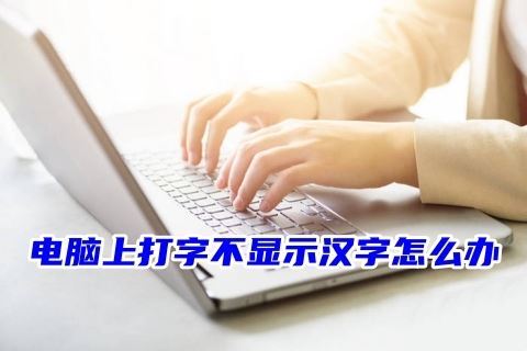 电脑打不了字只有字母怎么办 电脑上打字不显示汉字的解决方法