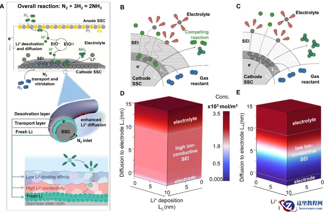 国际首次，上海交大团队破解电合成氨全球难题