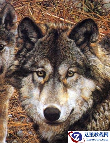 无招胜有招，Photoshop另类图片抠图方法教程